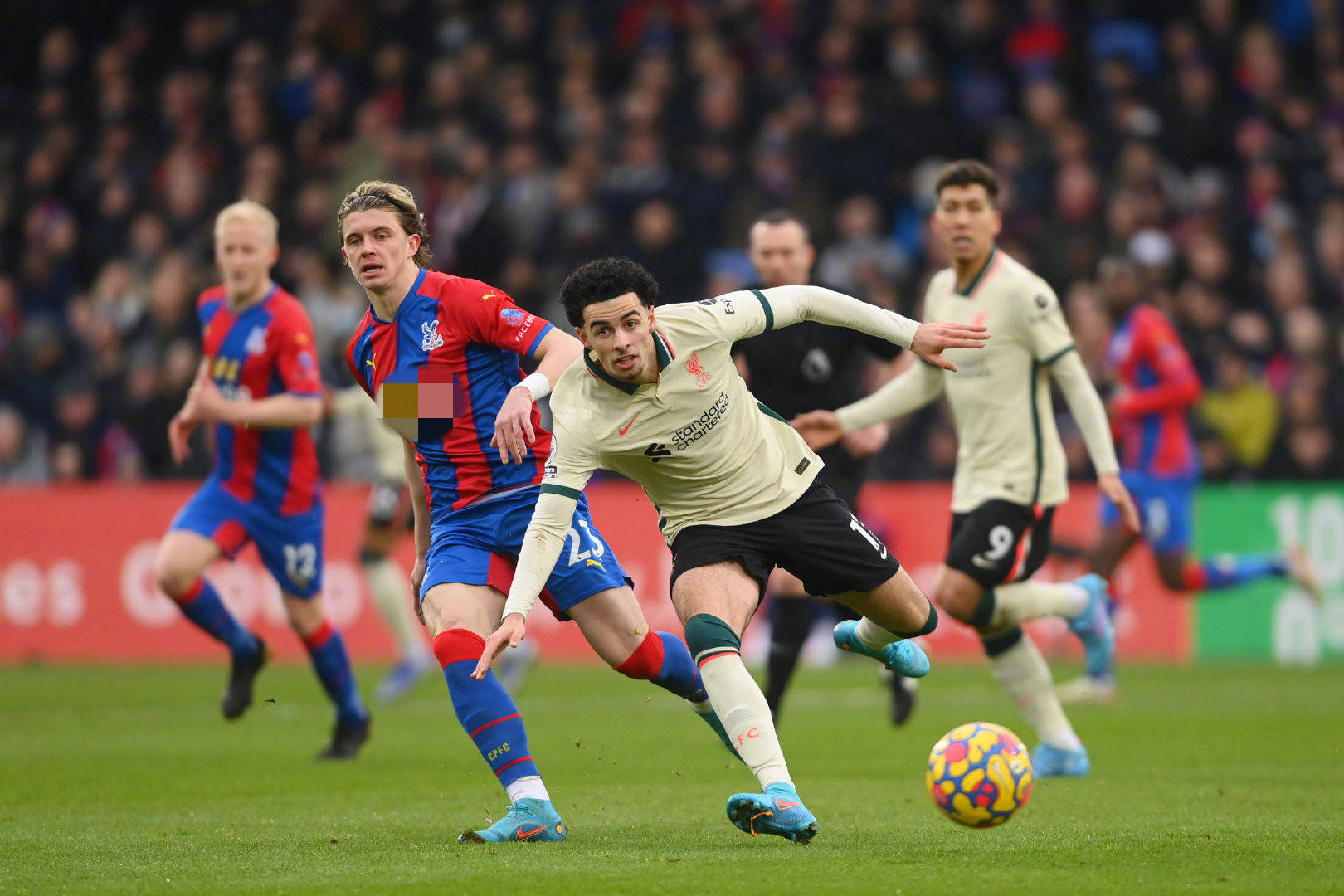 即时的比赛 即时的比赛